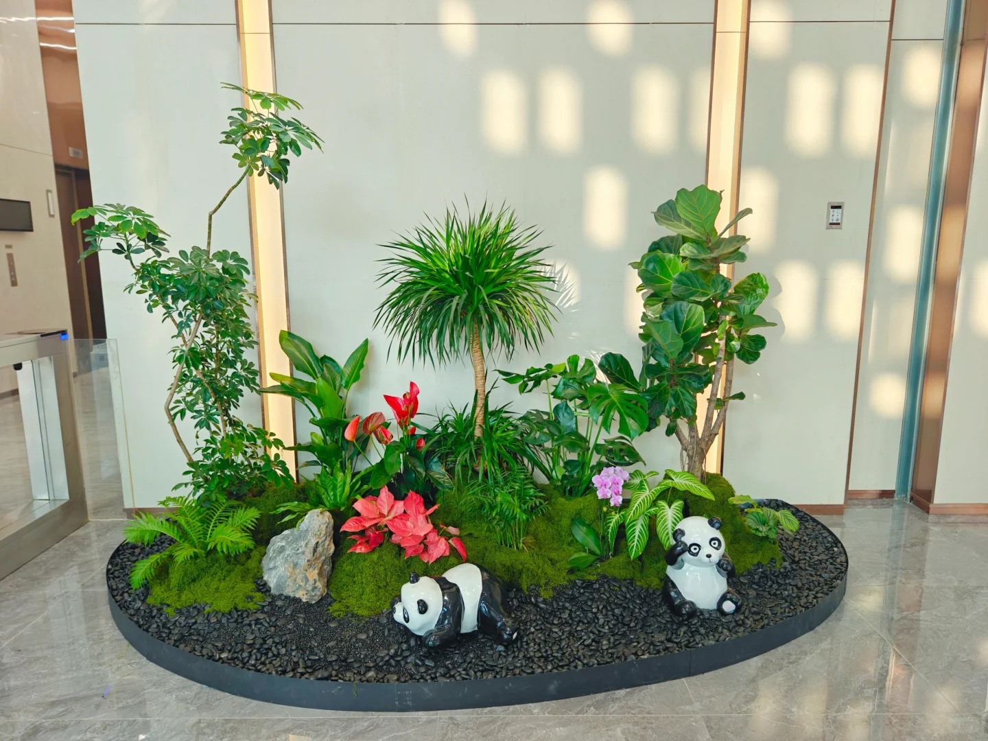 价格亲民的前湾花卉出租,为你带来缤纷世界!