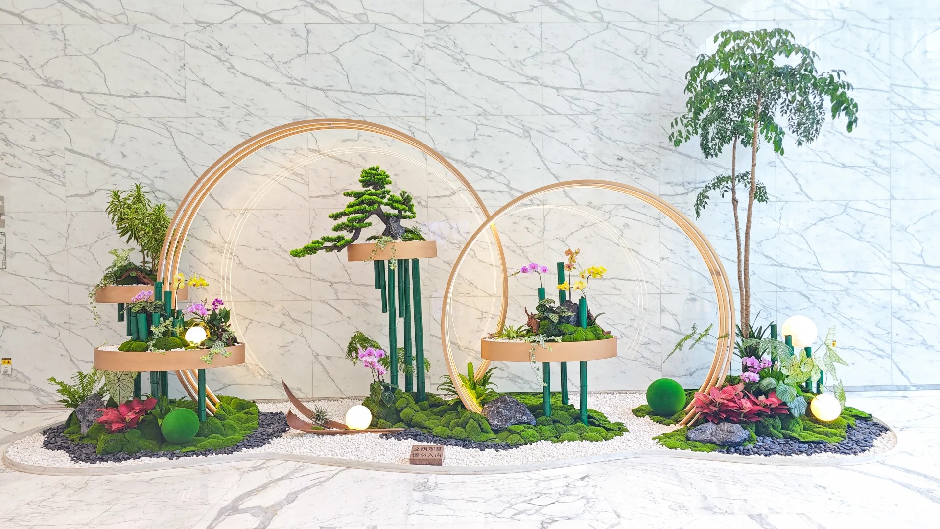 体验宁波余姚专业盆景租摆，拥抱绿色生活